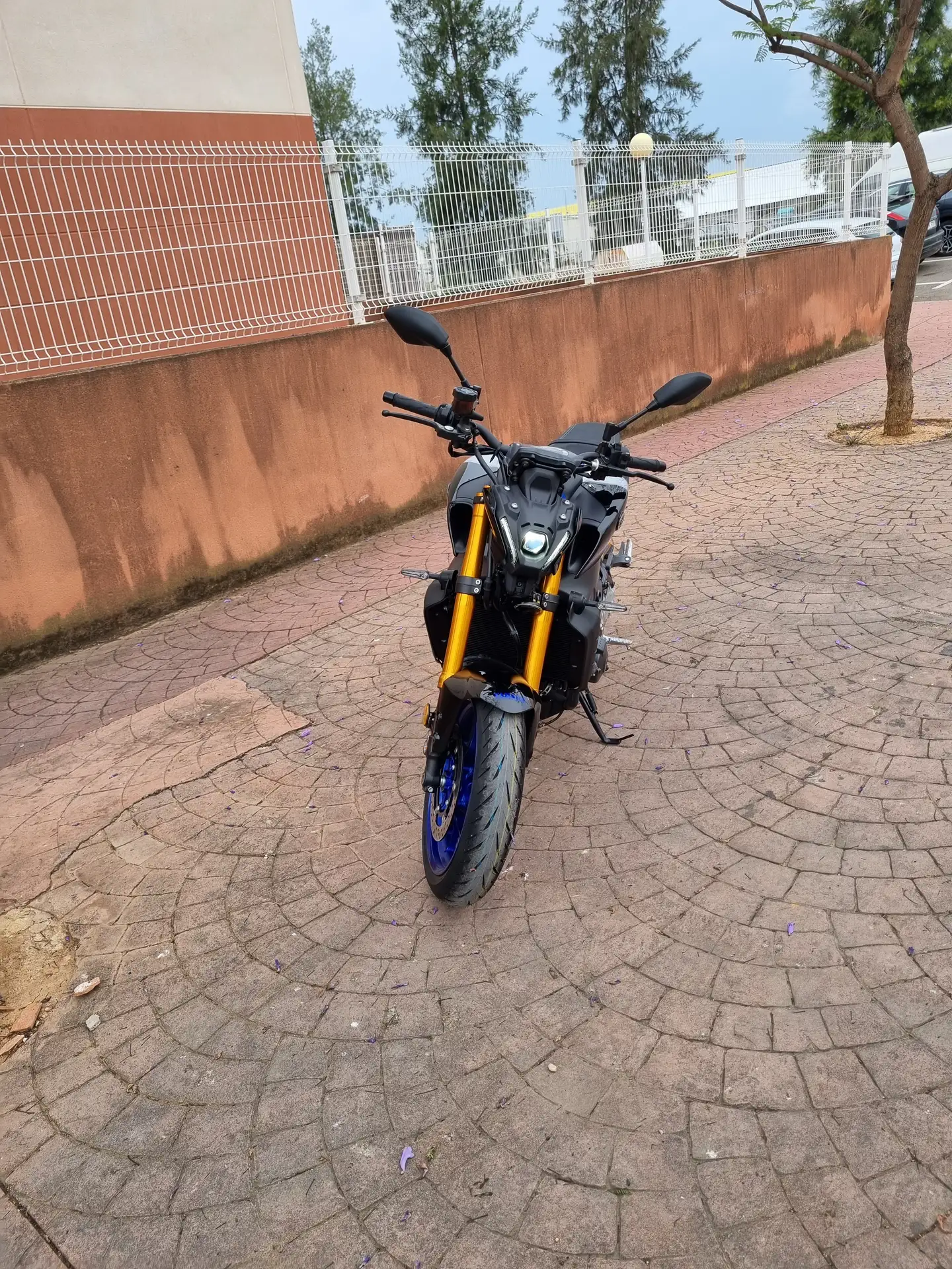 Yamaha MT-09 – Vista 2