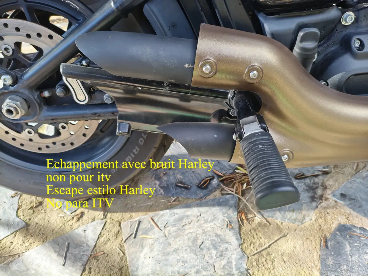 Harley-Davidson Fat Bob – Vista 3