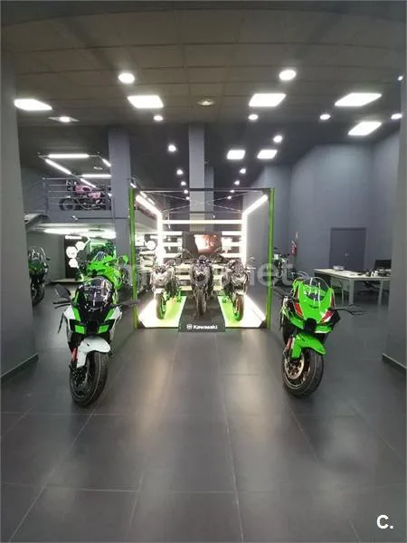 Kawasaki Ninja e-1 - Vista 12