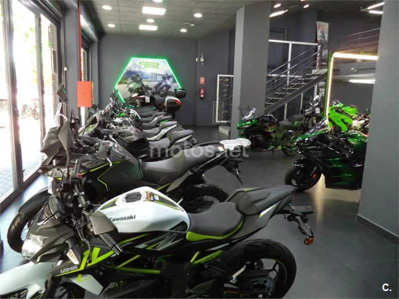 Kawasaki Ninja e-1 - Vista 13