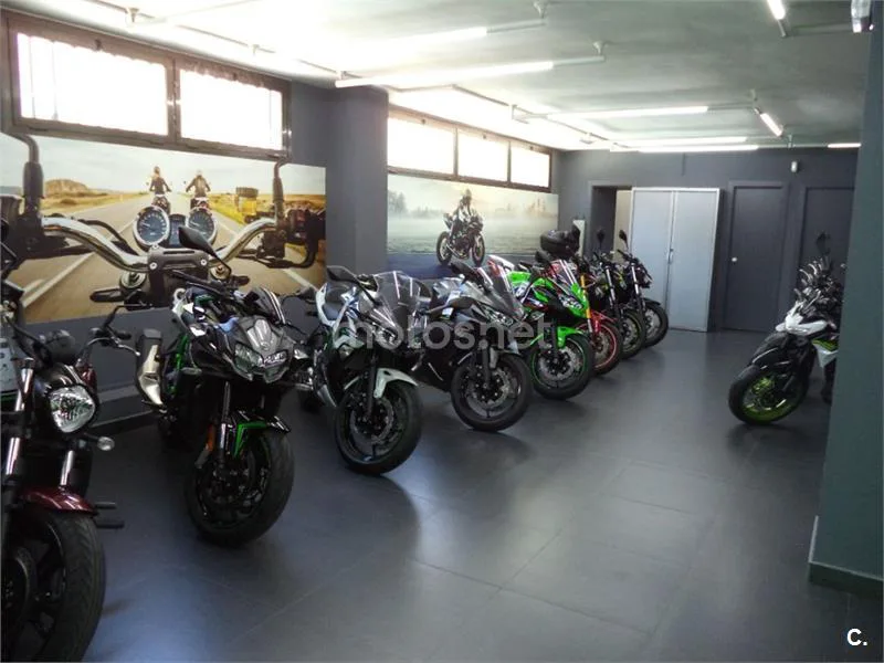 Kawasaki Ninja e-1 - Vista 20