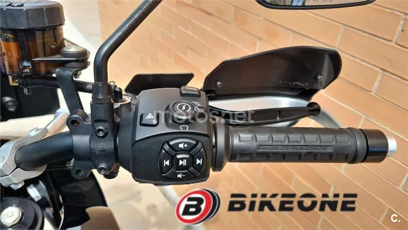 Harley-Davidson Pan America 1250 – Vista 9
