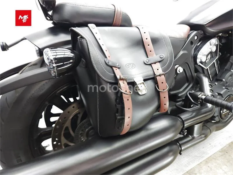 Indian Scout – Vista 13