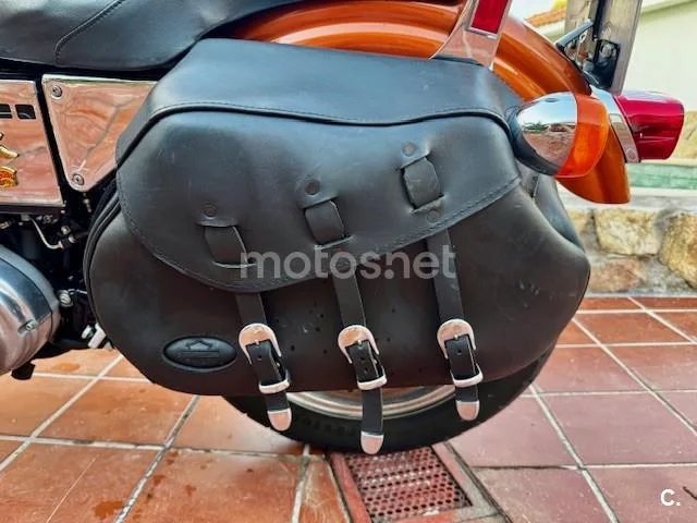 Harley-Davidson Sportster 883 – Vista 5