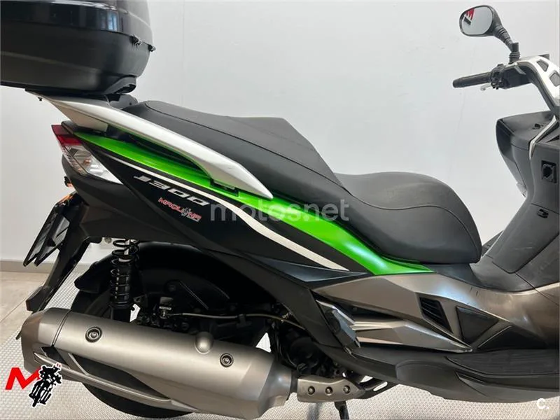 Kawasaki J300 – Vista 5
