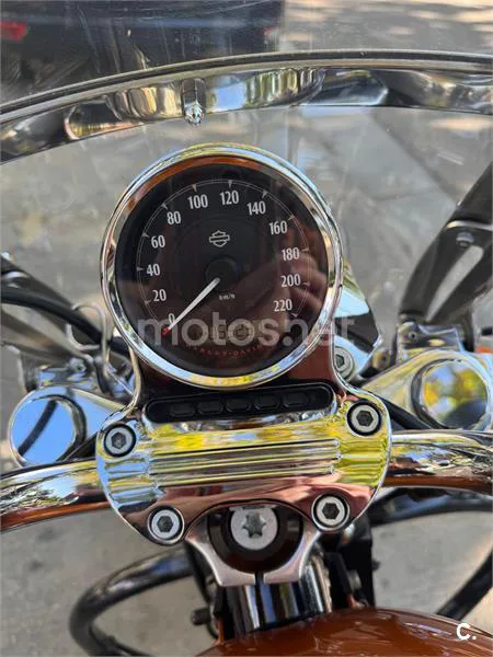 Harley-Davidson Sportster Superlow – Vista 10