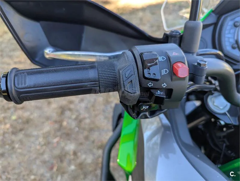 Kawasaki Versys-X 300 – Vista 5