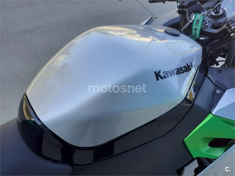 Kawasaki Ninja e-1 – Vista 14