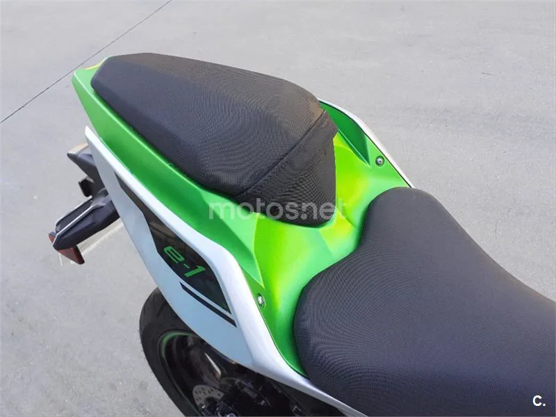 Kawasaki Ninja e-1 – Vista 15