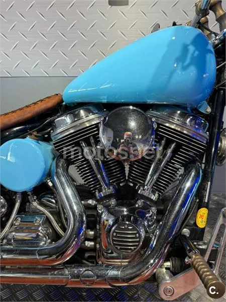 Harley-Davidson Softail Heritage Springer – Vista 5