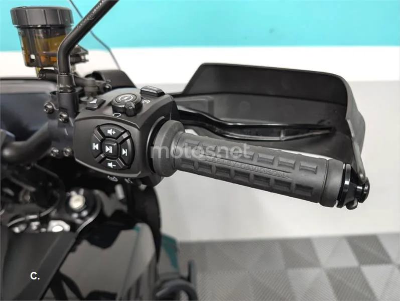 Harley-Davidson Pan America 1250 – Vista 12