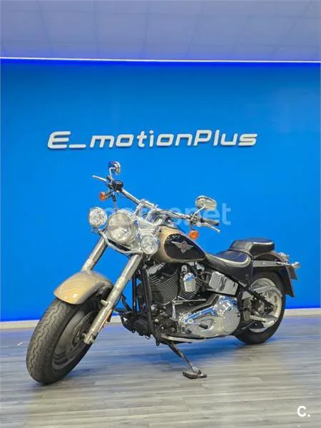 Harley-Davidson Fat Boy – Vista 3