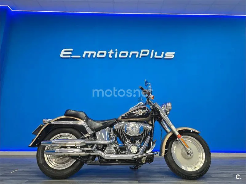 Harley-Davidson Fat Boy – Vista 4