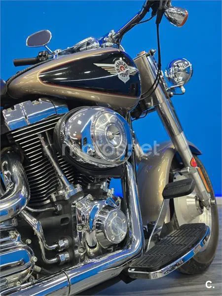 Harley-Davidson Fat Boy – Vista 6