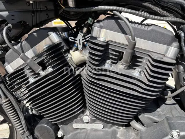 Harley-Davidson Sportster 1200 – Vista 23