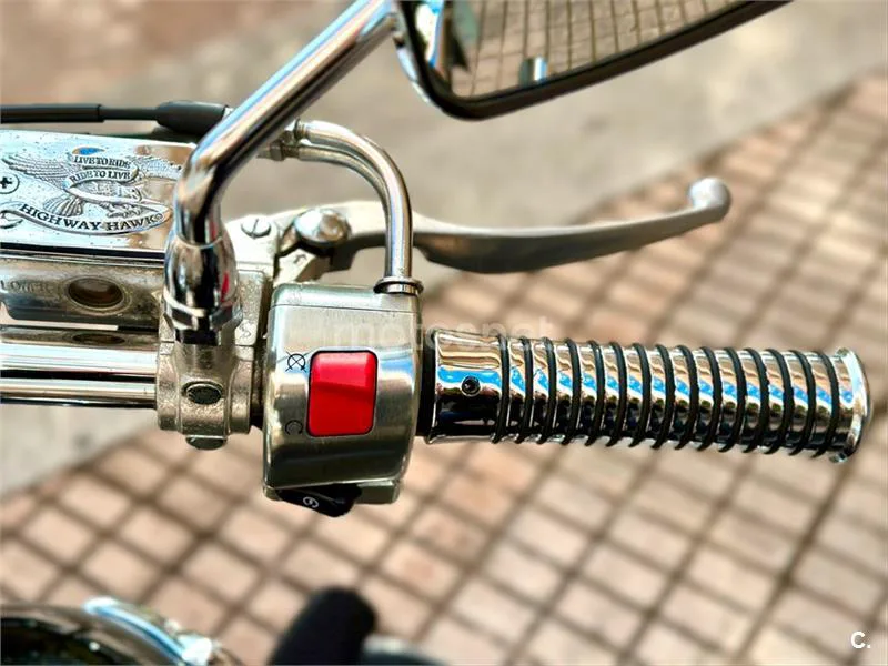 Kawasaki VN 900 Classic – Vista 12