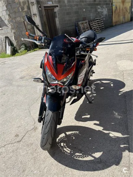 Kawasaki Z 800e – Vista 8