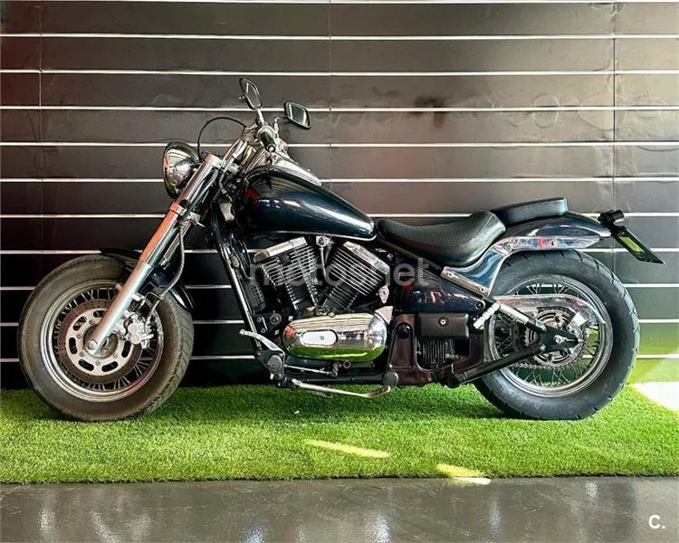 Kawasaki VN 800 Classic – Vista 5