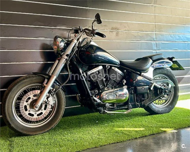Kawasaki VN 800 Classic – Vista 6