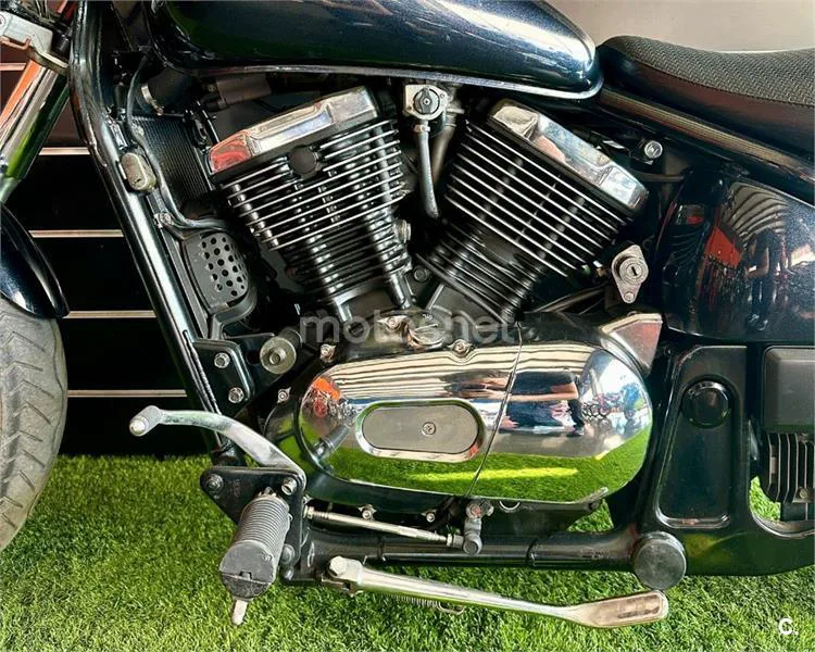 Kawasaki VN 800 Classic – Vista 8