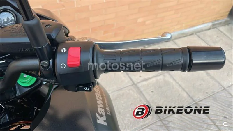 Kawasaki Versys – Vista 9