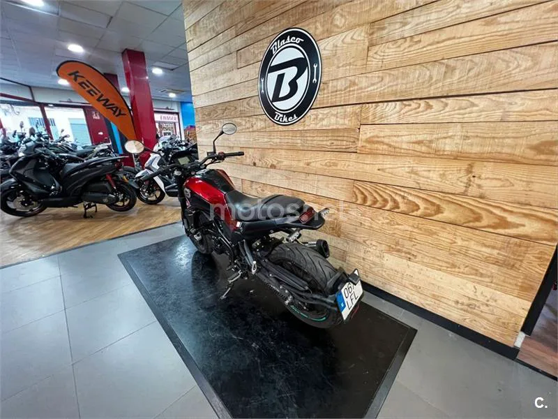 Benelli Leoncino – Vista 15