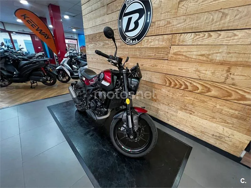 Benelli Leoncino – Vista 17