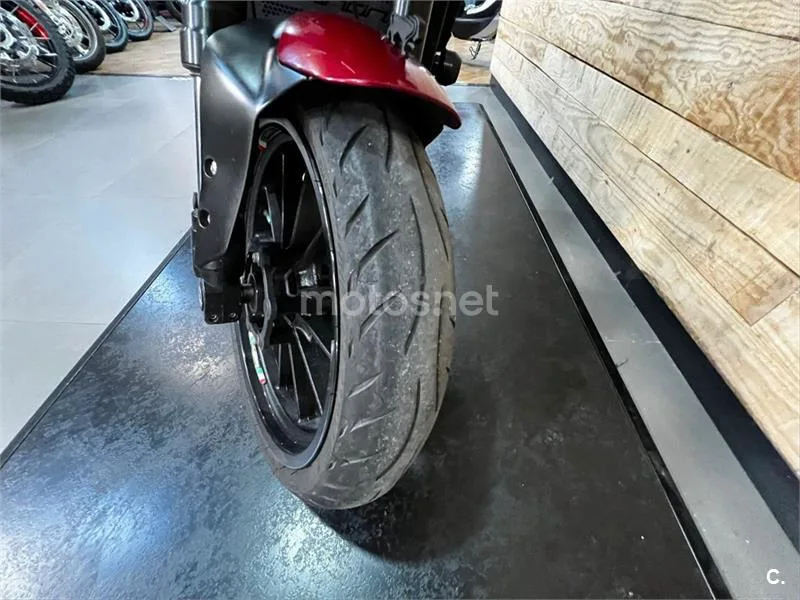 Benelli Leoncino – Vista 9