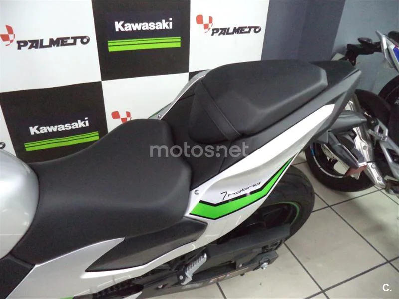 Kawasaki Ninja 7 Hybrid – Vista 8