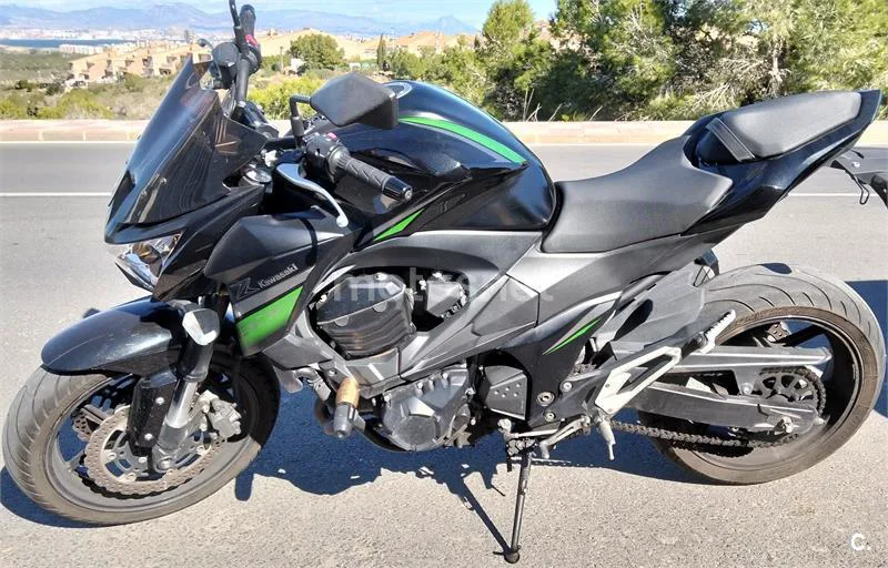 Kawasaki Z 800e – Vista 5