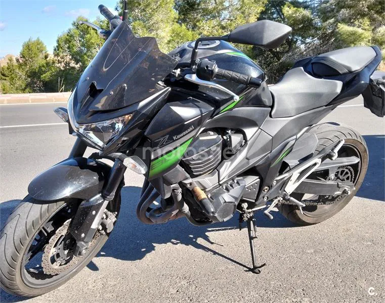 Kawasaki Z 800e – Vista 6