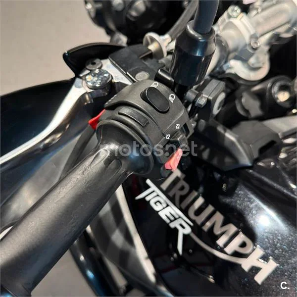 Triumph Tiger 800 – Vista 9