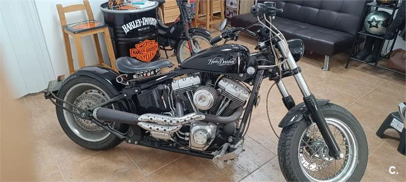 Harley-Davidson Softail Heritage – Vista 4