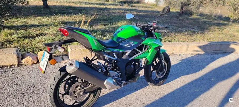 Kawasaki Z 125 – Vista 6