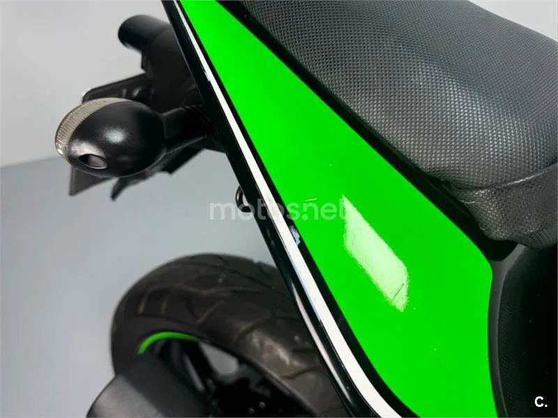 Kawasaki Ninja 250 R – Vista 11