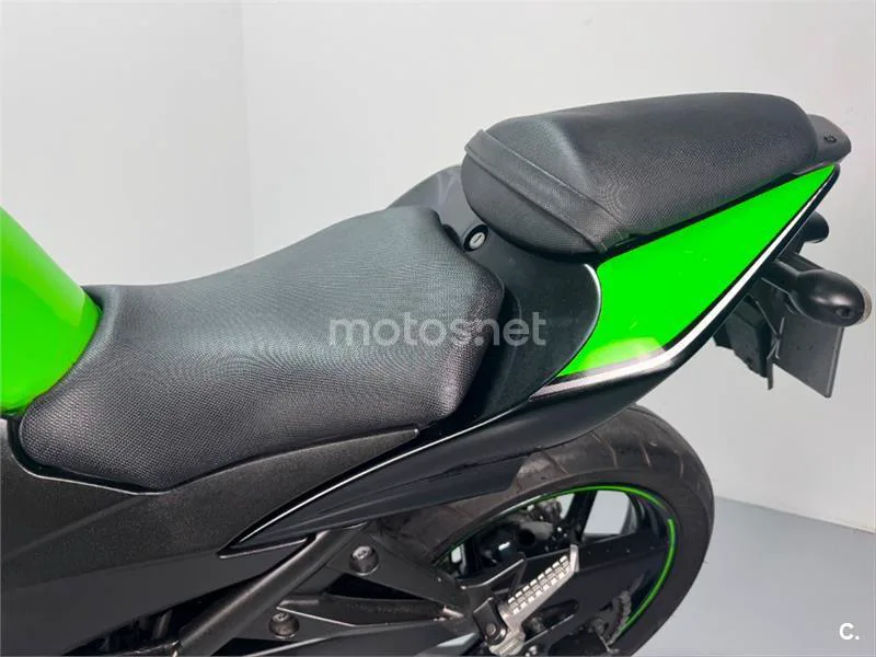 Kawasaki Ninja 250 R – Vista 20