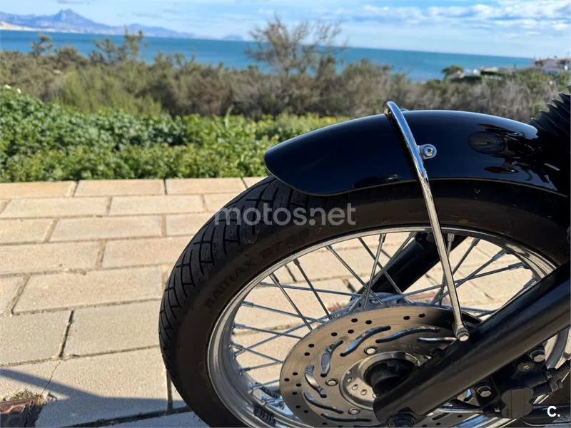 Triumph Bonneville T100 – Vista 11