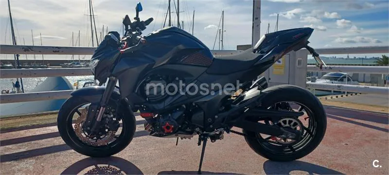 Kawasaki Z 800e SE – Vista 2