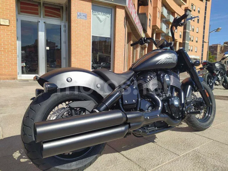 Indian Chief - Vista 5