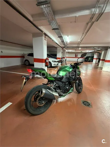 Kawasaki Z 300 – Vista 2