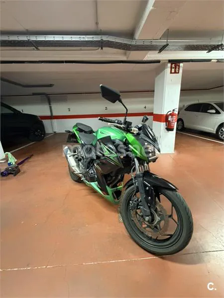 Kawasaki Z 300 – Vista 3