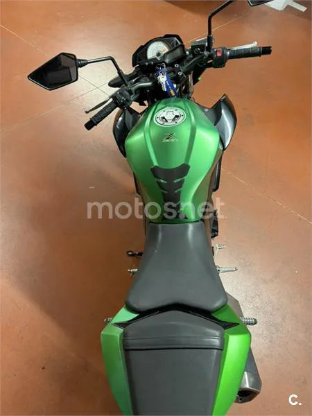 Kawasaki Z 300 – Vista 5