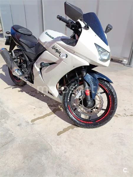 Kawasaki Ninja 250 R – Vista 4