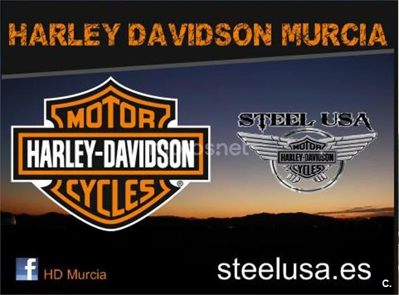 Harley-Davidson Sportster S – Vista 9