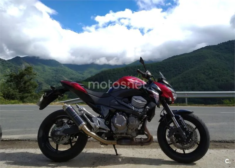 Kawasaki Z 800e – Vista 2