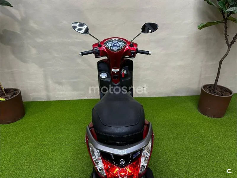 Yamaha D'elight 125 – Vista 10