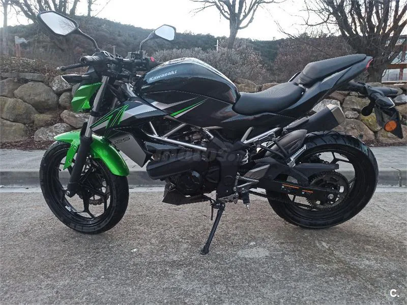 Kawasaki Z 125 – Vista 2