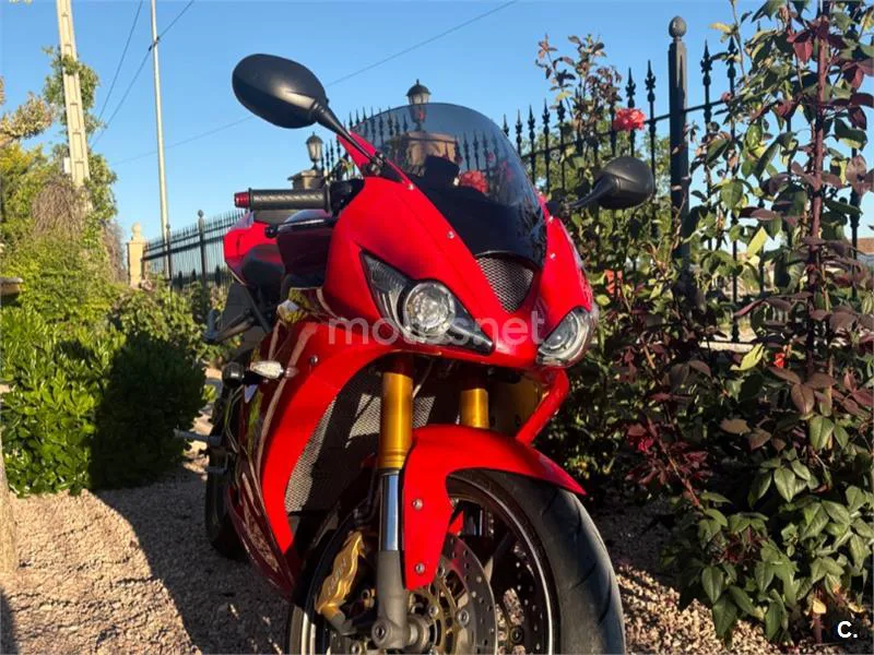 Triumph Daytona 675 – Vista 11