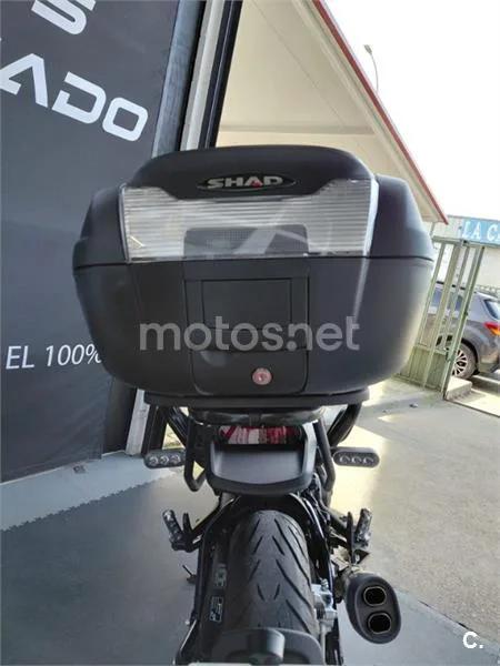 Benelli Leoncino 500 – Vista 16