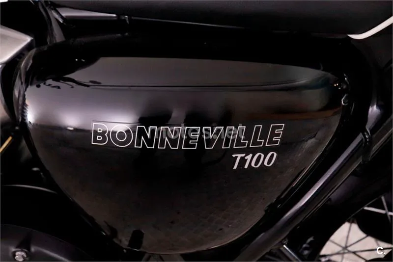 Triumph Bonneville T100 – Vista 12